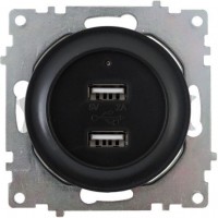 OneKeyElectro Розетка USB двойная, с подсветкой черный
