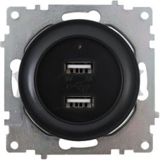 OneKeyElectro Розетка USB двойная, с подсветкой черный
