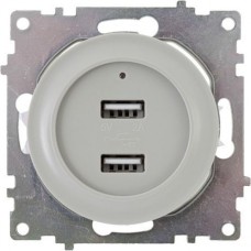 OneKeyElectro Розетка USB двойная, с подсветкой серый
