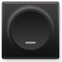 OneKeyElectro Вимикач одинарний з підсвіткою Чорний (1Е31701303)