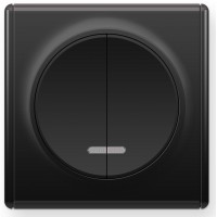 OneKeyElectro Вимикач подвійний з підсвіткою, Чорний (1Е31801303)